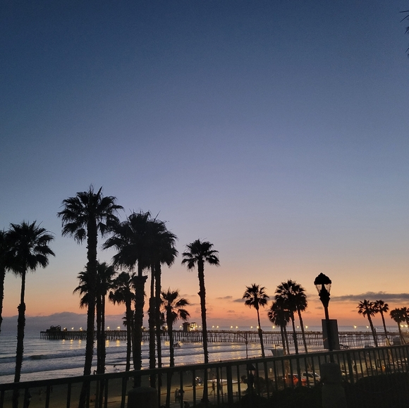 Meet your Posher Olga - Picture 2 of 11